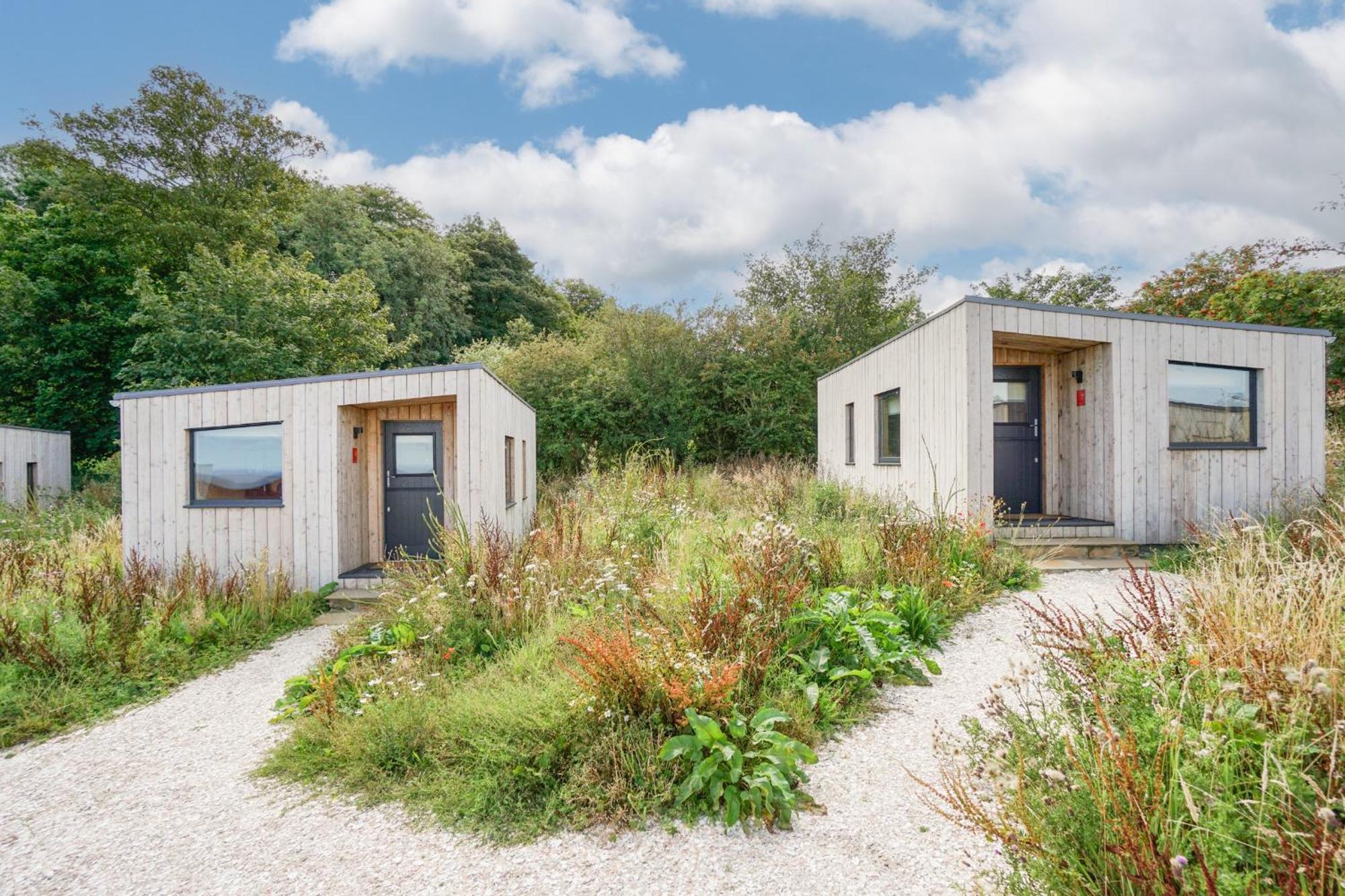 Rustic Cabins, Sea Views From Rewilded Farm With Highland Cows เซนต์แอนดรูว์ ภายนอก รูปภาพ